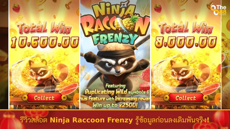 รีวิวสล็อต Ninja Raccoon Frenzy รู้ข้อมูลก่อนลงเดิมพันจริง!